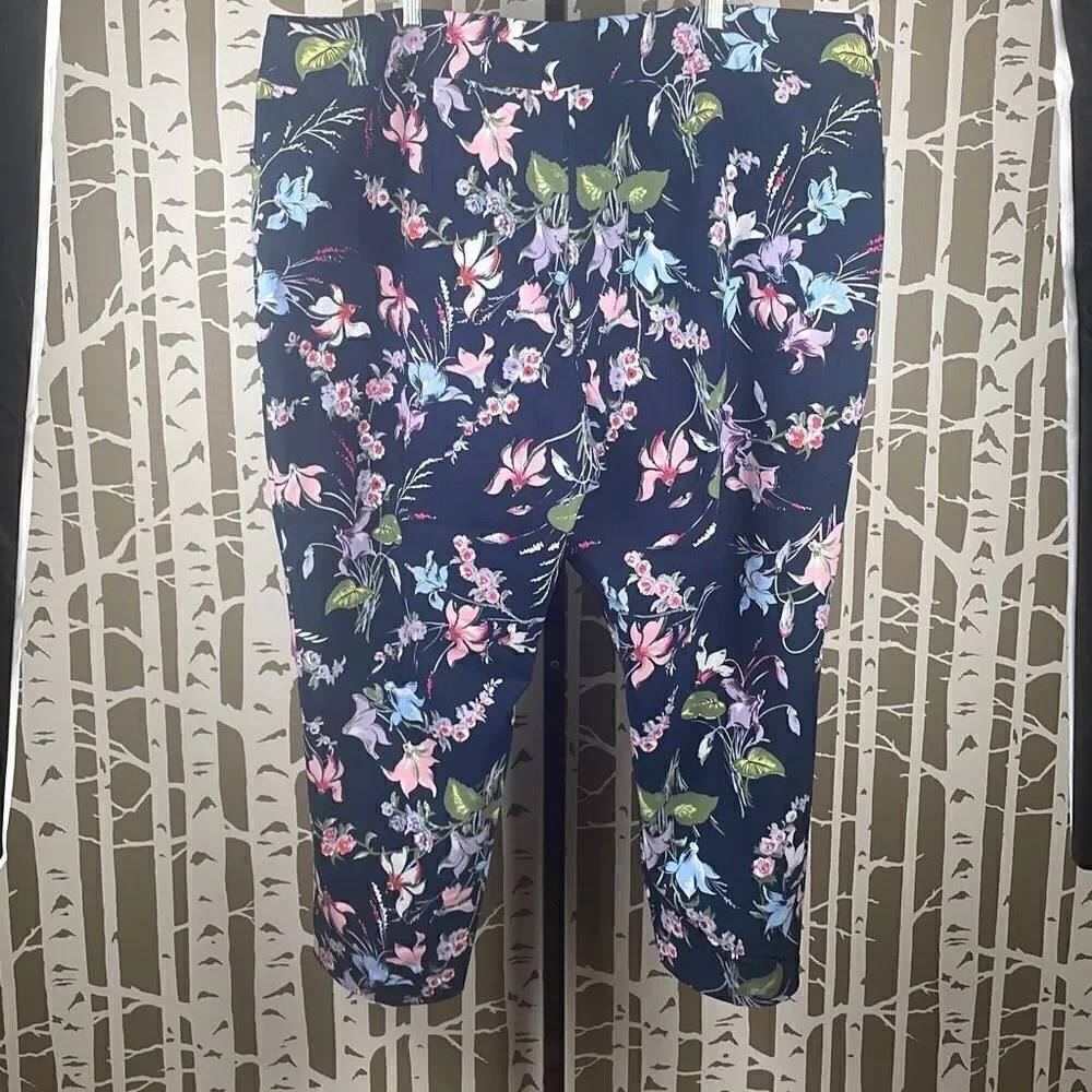 Terra & Sky Floral Print Ankle Pant 4X (28W-30W) - Picture 2 of 11